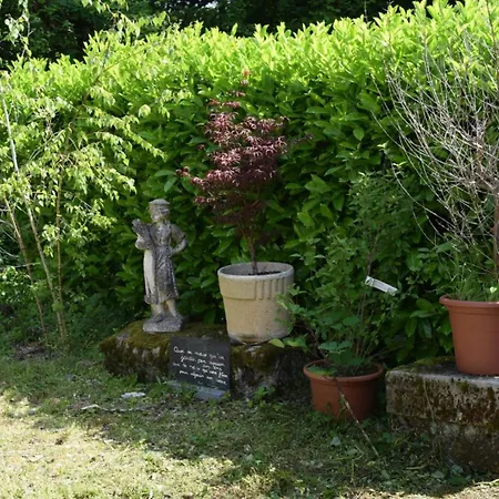 Domaine Du Charme - Meublé T2 Appartement Bains-les-Bains