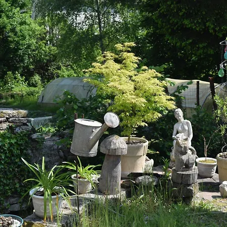 Domaine Du Charme - Meublé T2 * Bains-les-Bains