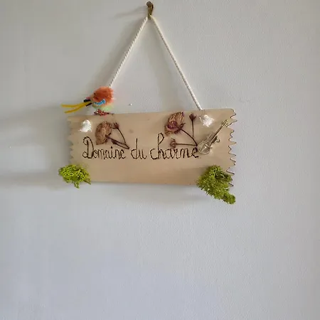 Domaine Du Charme - Meuble T2 * Bains-les-Bains