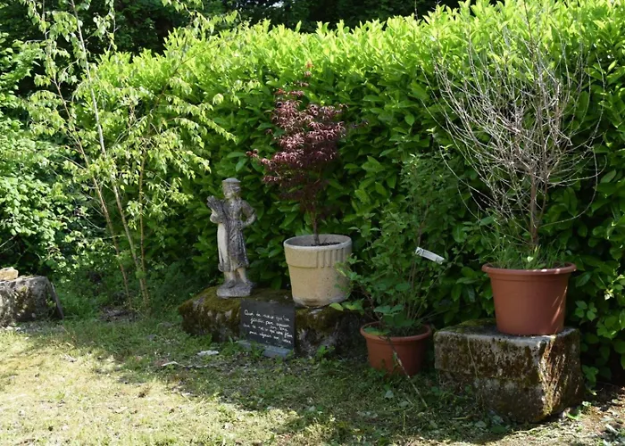 Domaine Du Charme - Meuble T2 Lägenhet Bains-les-Bains